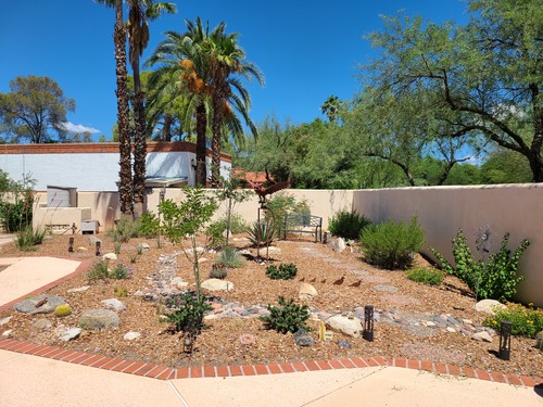 Hidden in plain sight - an unwanted pool filled this yard