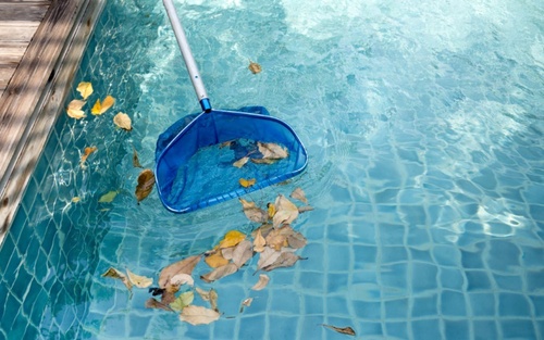 Fishing leaves out of pool